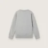 Journey crew neck sweatshirt for boys in gray melange cotton with mascot print