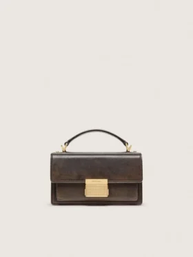 Small Venezia Bag in dark brown leather with gold buckle